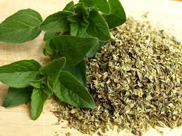 Oregano Essential Oil